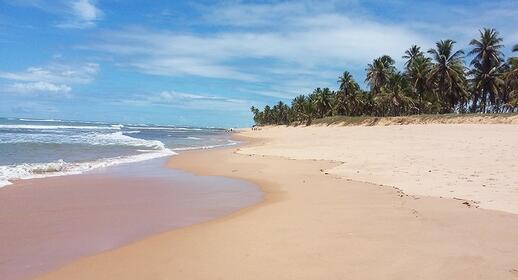 Visiter Praia do Forte
