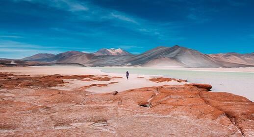 Salar de Tara et Moines de la Pacana