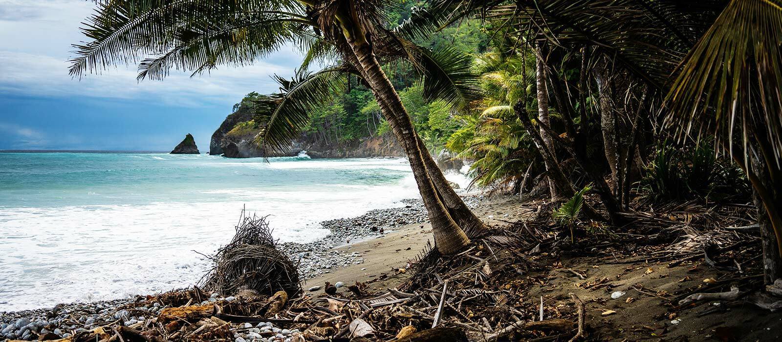 Corcovado, Pacifique Sud