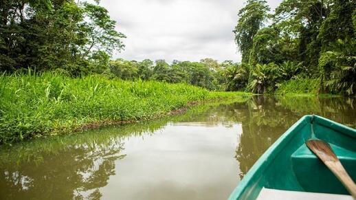 Visiter Navigation sur les canaux du parc (2h)