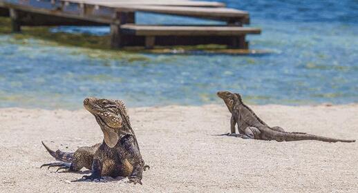 Visiter Baie de Nipe