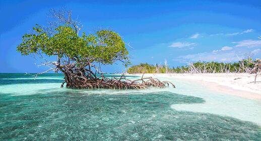 Visiter Cayo Levisa