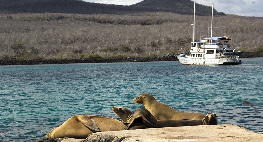 Galapagos Islands Galapagos Islands