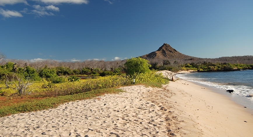 Galapagos Islands Galapagos Islands