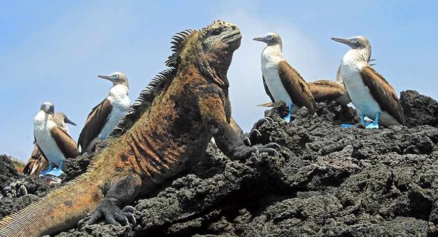 Galapagos Islands Galapagos Islands