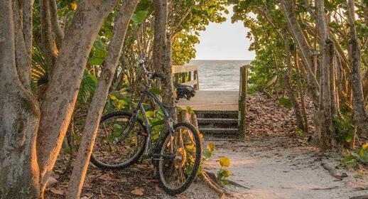 Ile de Sanibel