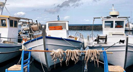 Visiter Paros