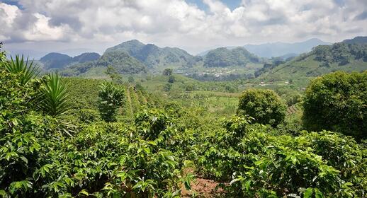 Visiter La Esperanza, terre de traditions