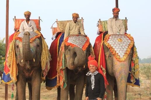 Visiter Elephantastic