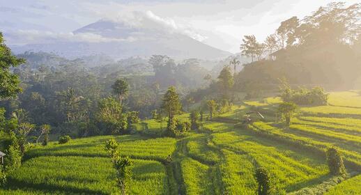 Visiter Ascension du Mont Agung