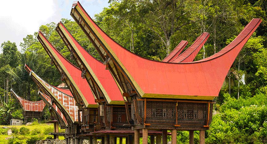 Visite du pays Toraja Sulawesi en Indon sie Visite du pays Toraja Sulawesi en Indon sie