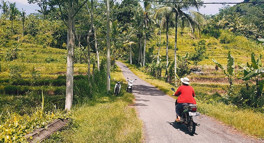 Visite de Sidemen   Bali en Indon sie
