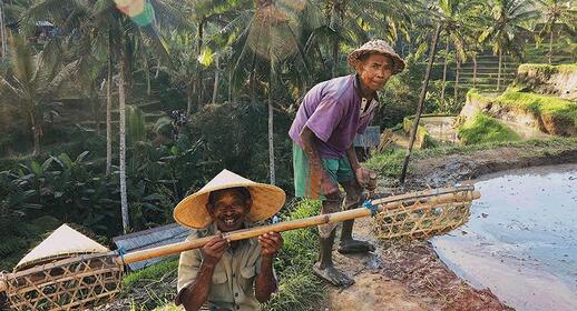 Visiter Ubud