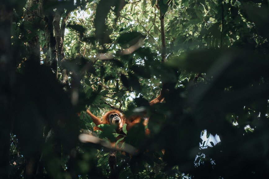 Lieux voir Sumatra en Indon sie Lieux voir Sumatra en Indon sie
