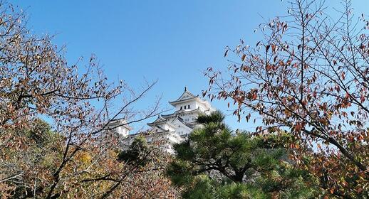 Château d'Himeji