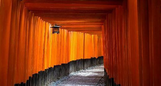Le sanctuaire Fushimi Inari