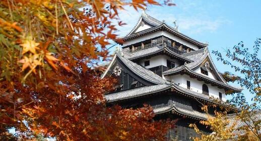 Le chateau de Matsue