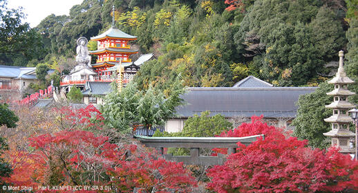 Mont Shigi