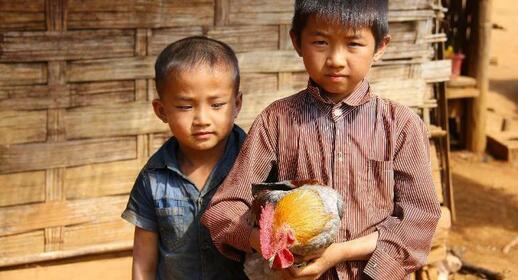 Visiter Le village de Muang Ngoi