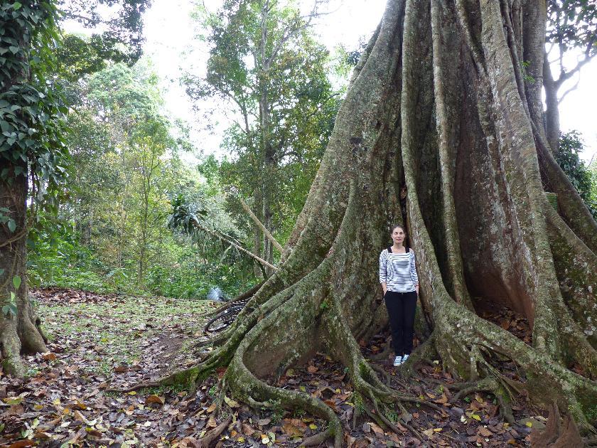 Amandine, votre spécialiste Laos