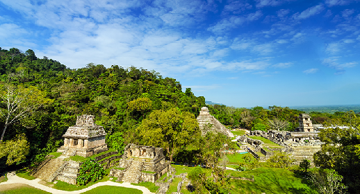 Visiter le site de Palenque