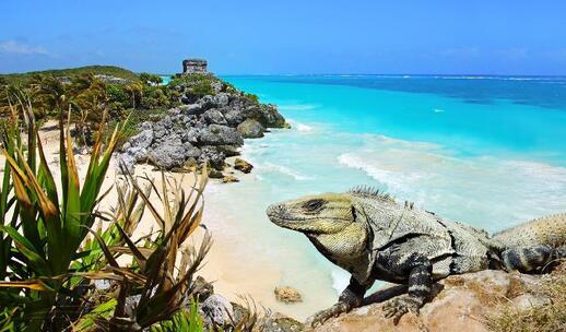 Cité maya de Tulum