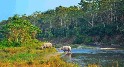 Le parc national de Chitwan (UNESCO)
