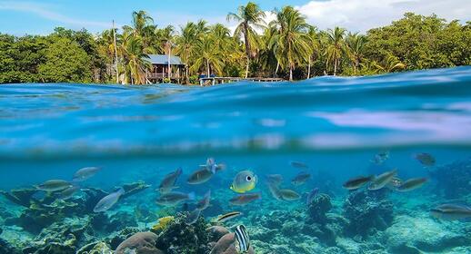 snorkeling au Panama