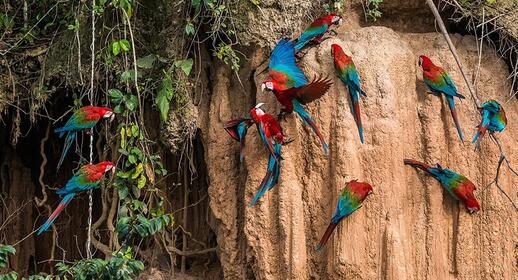 Découverte des parcs nationaux