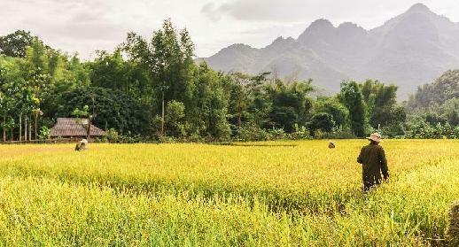 Vallée de Mai Chau